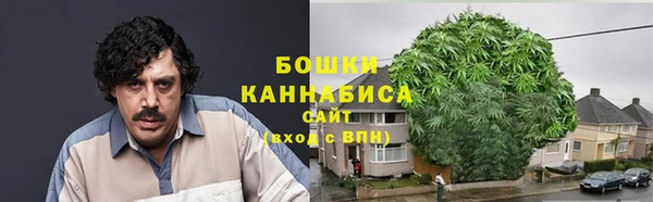 стаф Богородицк