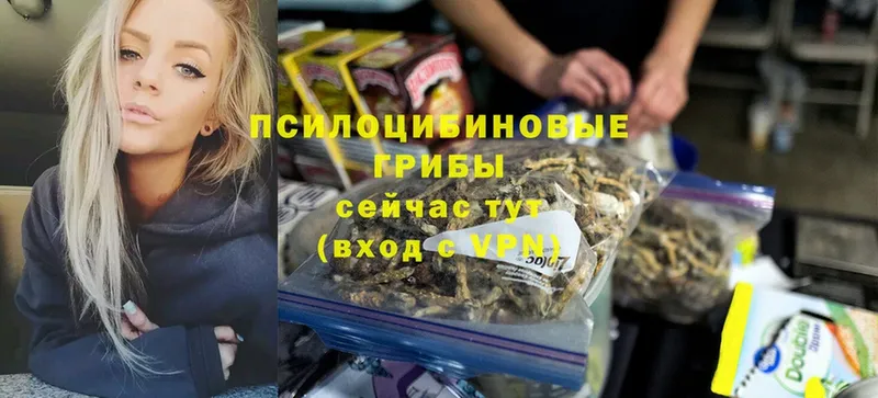 Псилоцибиновые грибы Magic Shrooms  Железноводск 